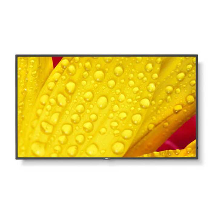 S55299347_0
